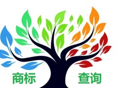 如何應(yīng)對商標(biāo)查詢盲期？